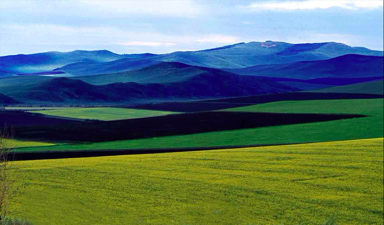 The North China Plain